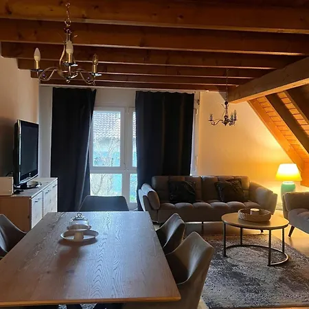 Get Cozy House In -renovated And Newly Furnished Winter 2026- Apartment Zurich