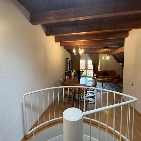 Get Cozy House In -renovated And Newly Furnished Winter 2026- ציריך